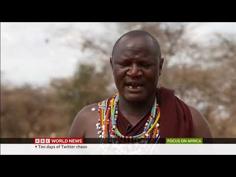 The Kenyan Drought Crisis